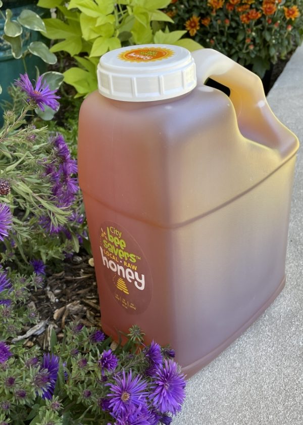 Gallon Jug
