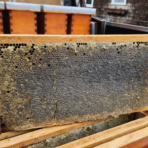 Honey Frame