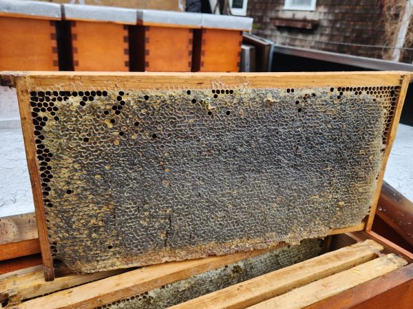 Honey Frame